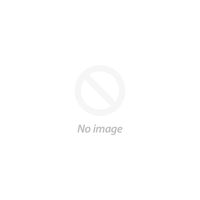 M. Ghaly & D. Teplitz (2004)